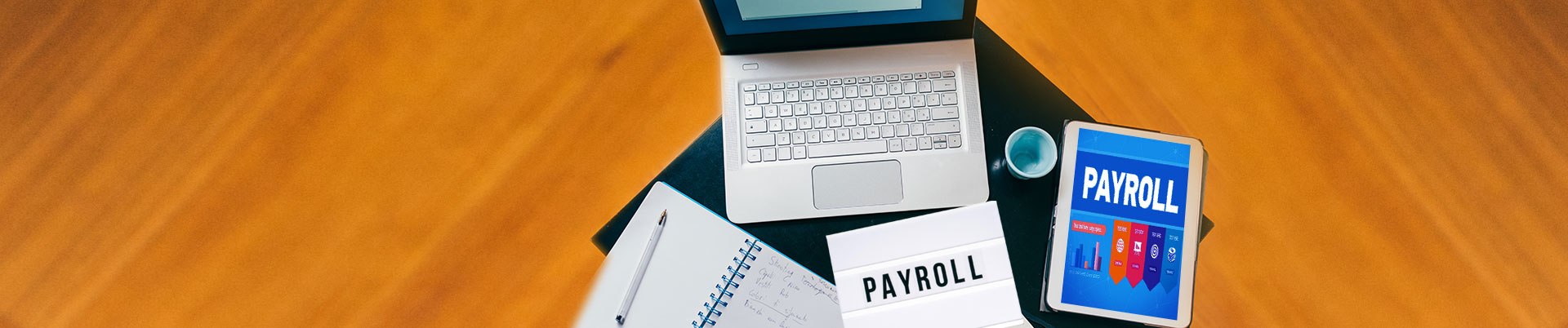 Payroll Software Development Services